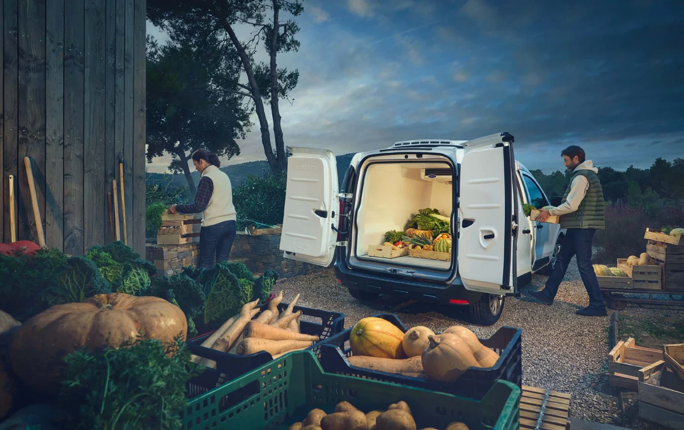 Renault EXPRESS VAN — détails et usages